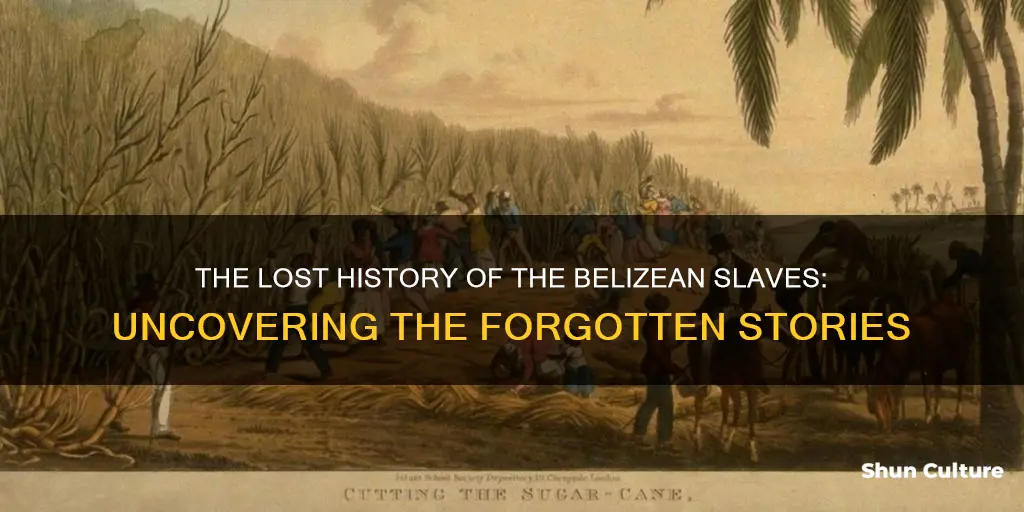 The Lost History Of The Belizean Slaves: Uncovering The Forgotten ...