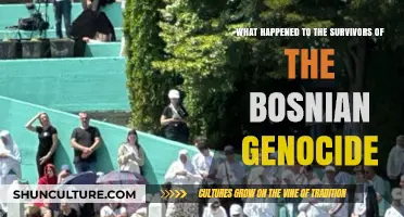 Bosnian Genocide Survivors: Resilience, Recovery, and Lasting Impact