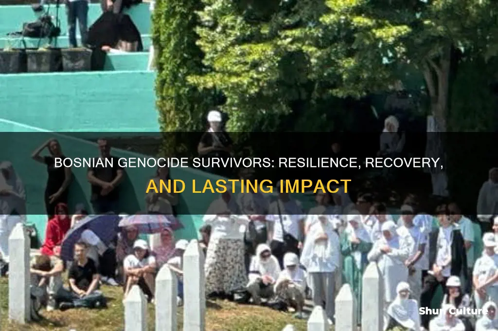 what happened to the survivors of the bosnian genocide