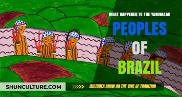 Yanomami Peoples of Brazil: A History of Struggle and Resilience