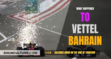 Vettel's Bahrain GP: What Went Wrong?