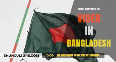 Viber's Sudden Disappearance in Bangladesh: Causes and Consequences Explained