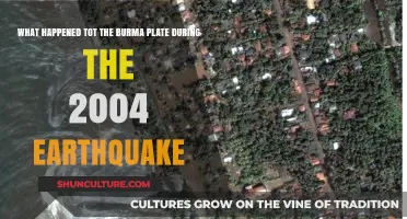 Unraveling the Burma Plate's Fate in the 2004 Earthquake Catastrophe