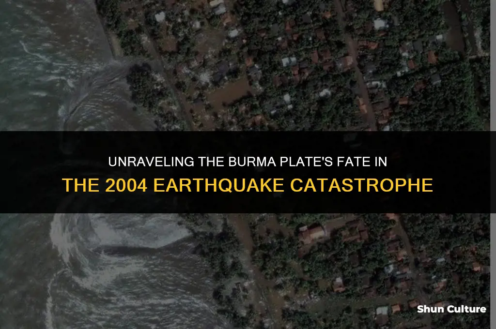 what happened tot the burma plate during the 2004 earthquake