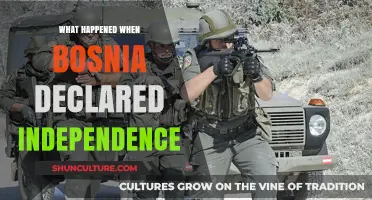 Bosnia's Independence Declaration: Sparking Conflict and Shaping History
