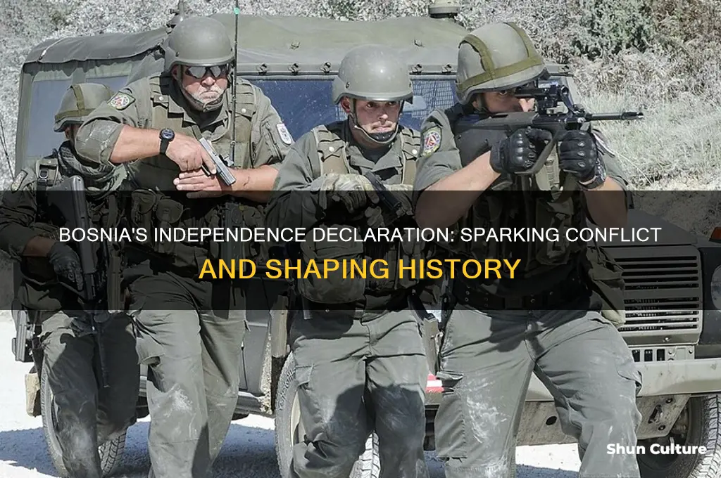 what happened when bosnia declared independence