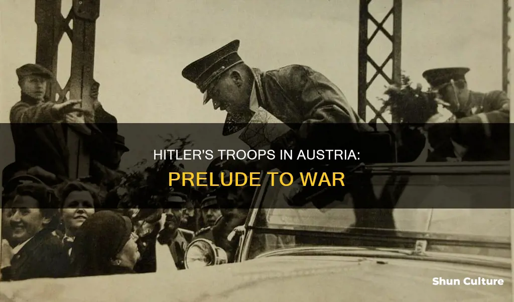 what happened when hitler brought troops into austria