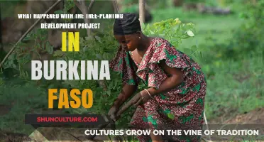 Sustainable Dreams: The Fate of Burkina Faso's Tree-Planting Initiative