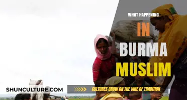 Crisis in Myanmar: The Plight of the Rohingya Muslims