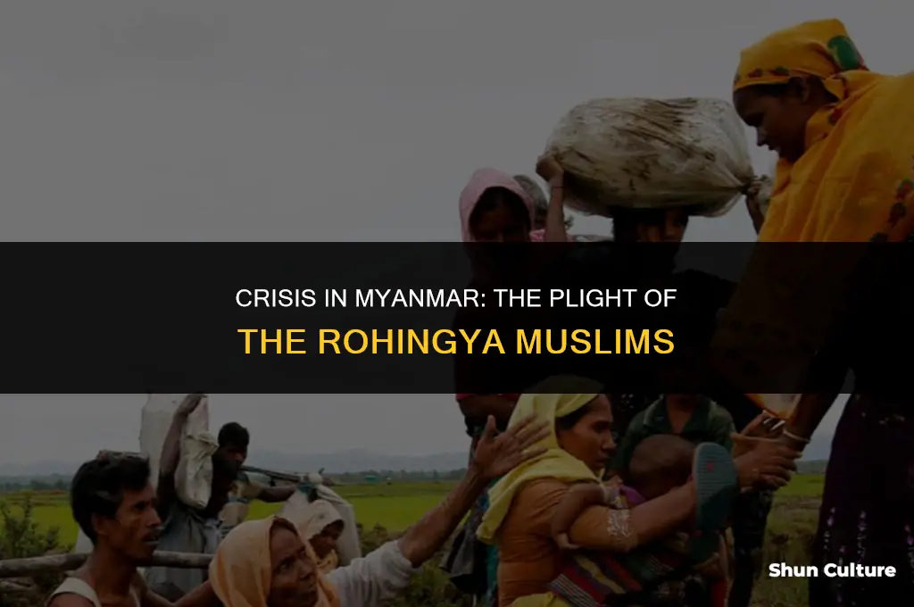 what happening in burma muslim