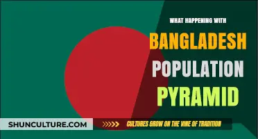 Bangladesh Population Pyramid: Trends, Challenges, and Future Projections