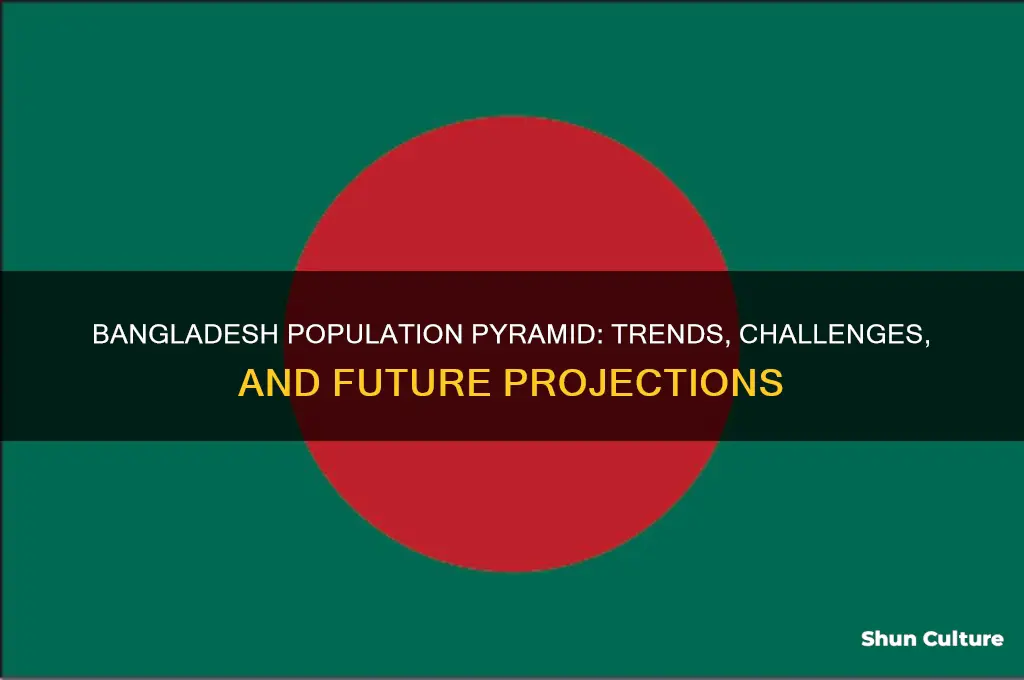what happening with bangladesh population pyramid