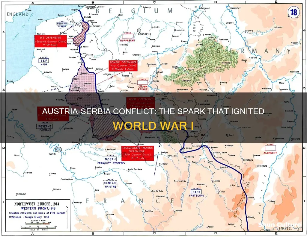 what happens after austria declares war on serbia