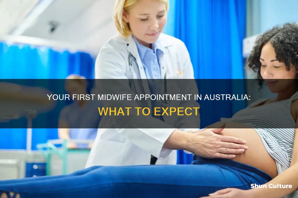 what happens at your first midwife appointment australia