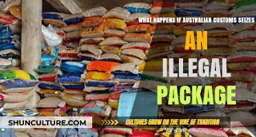 Customs Seizure: What Happens to Illegal Packages?