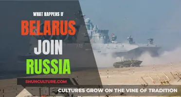 A Union of Russia and Belarus: Global Implications