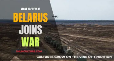 Belarus Joins War: What Could Be The Outcome?