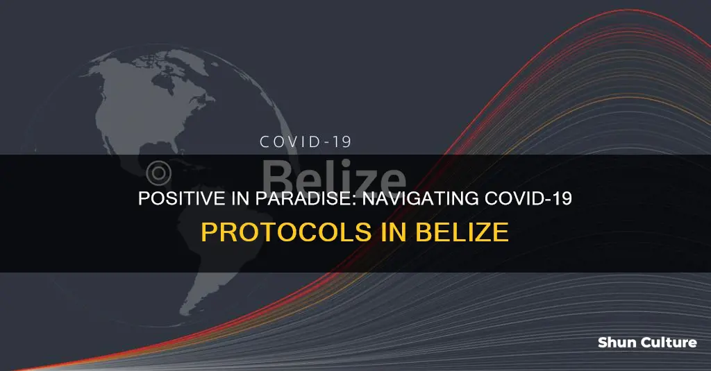 what happens if I test positive for covid in belize