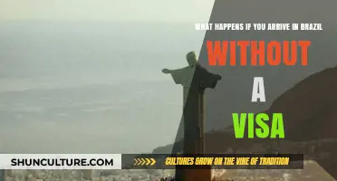 Traveling to Brazil Without a Visa: Consequences and What to Expect