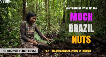 Brazil Nuts Overload: Risks of Excessive Selenium Intake Explained