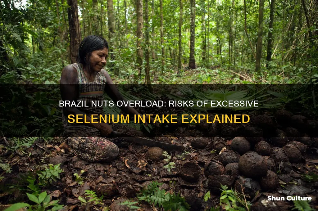 what happens if you eat too much brazil nuts