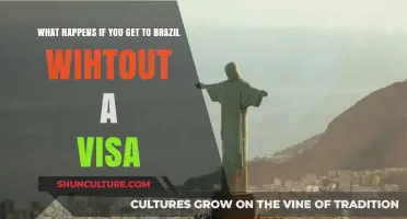 Traveling to Brazil Without a Visa: Consequences and What to Expect