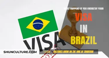 Overstaying Your Visa in Brazil: Consequences and Legal Implications Explained