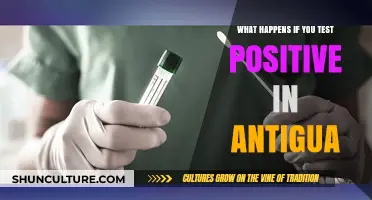 Testing Positive in Antigua: Protocols, Quarantine, and Travel Implications