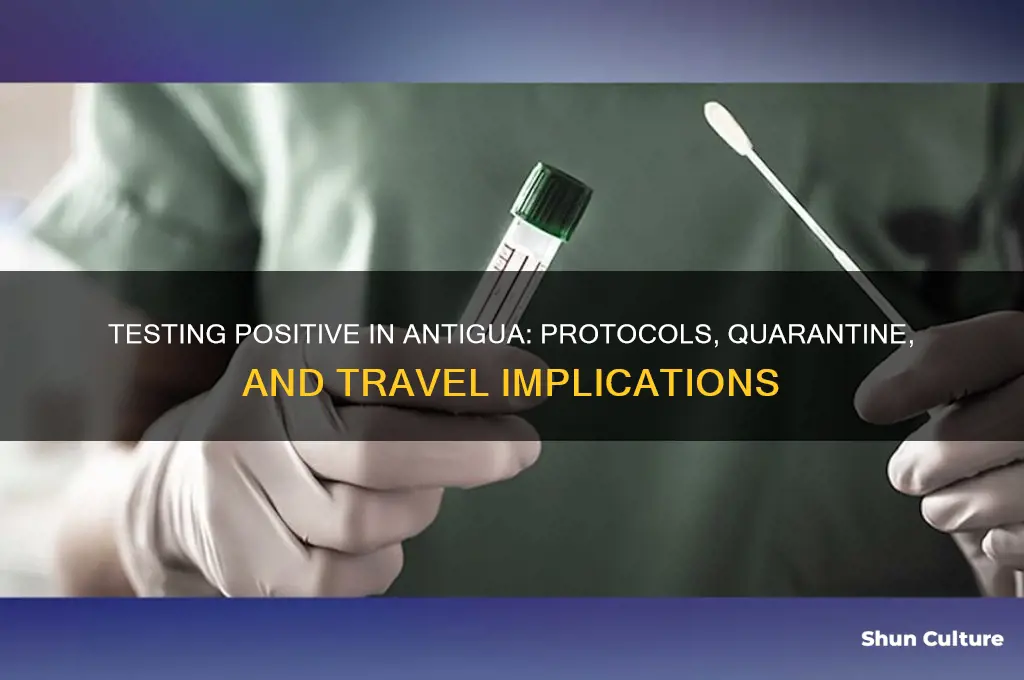 what happens if you test positive in antigua