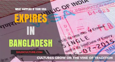 Visa Expiry in Bangladesh: Consequences and Steps to Take