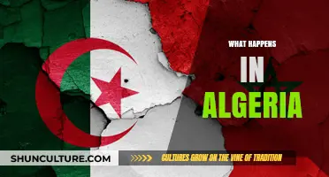 Exploring Algeria's Culture, Politics, and Daily Life: What Happens There?