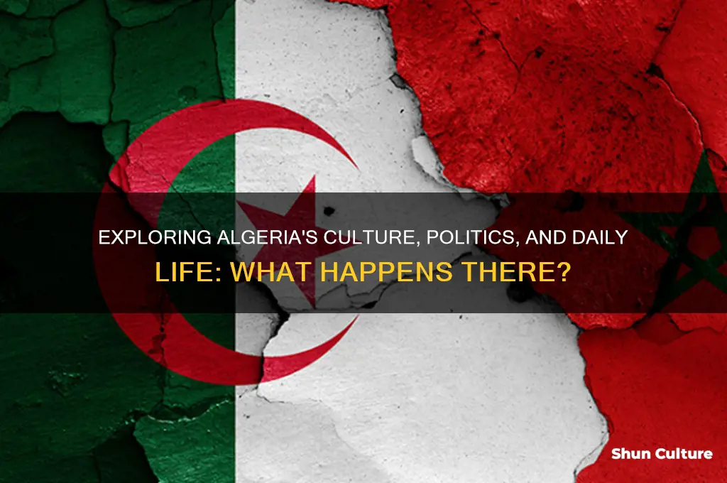 what happens in algeria