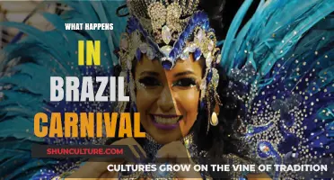 Brazil Carnival Unveiled: A Spectacular Celebration of Culture and Joy