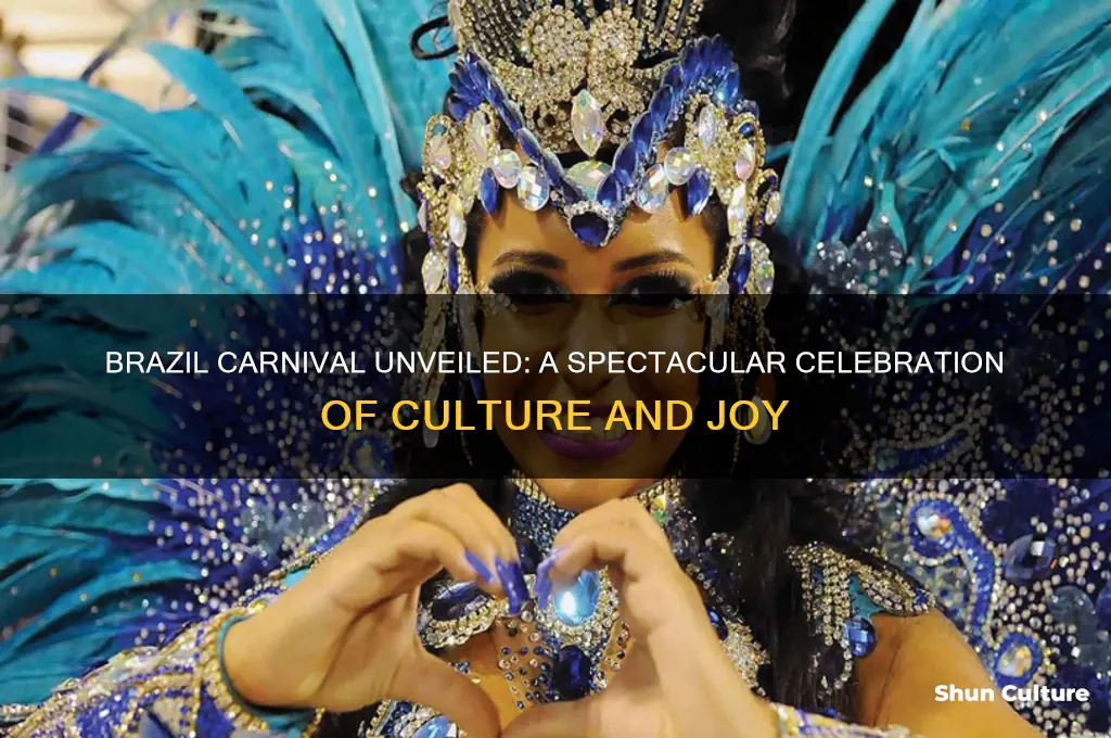 what happens in brazil carnival
