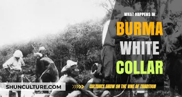 Unveiling the Truth: White-Collar Crimes in Burma