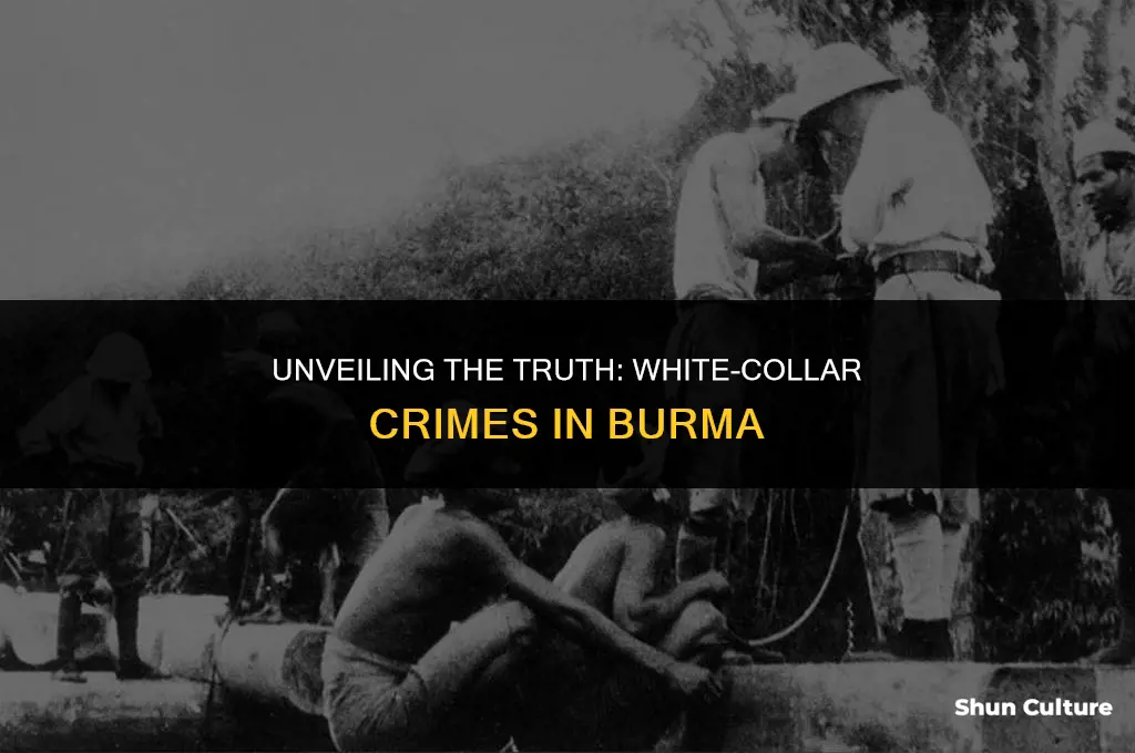 what happens in burma white collar