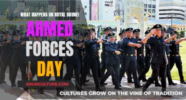 Celebrating Royal Brunei Armed Forces Day: Parade and Military Showcase