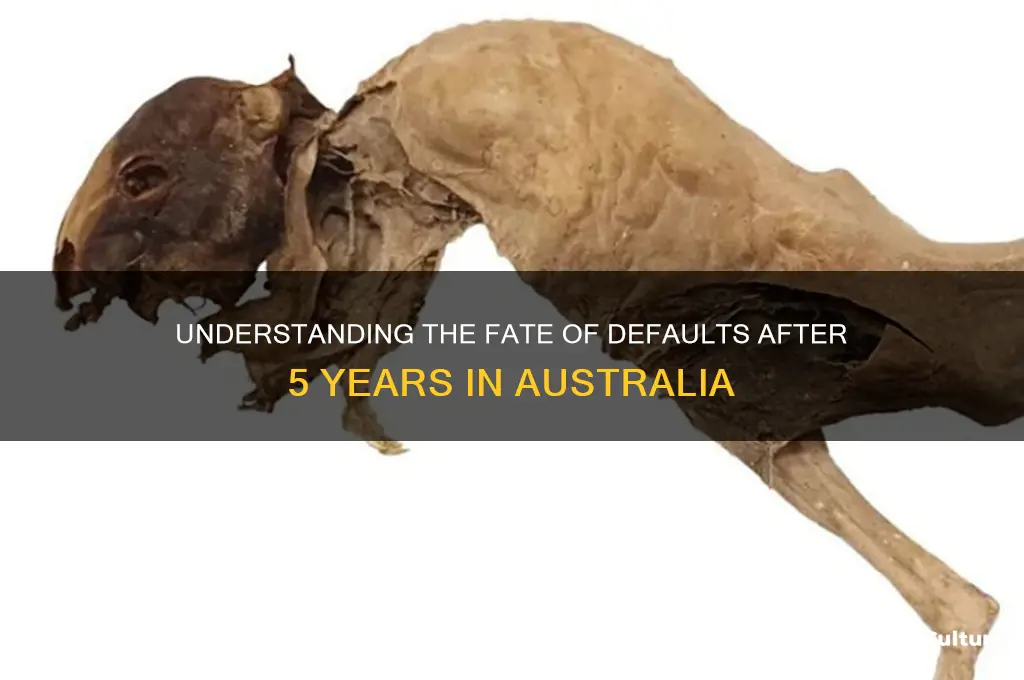 what happens to a default after 5 years australia
