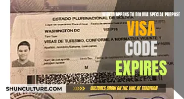 Bolivia's Special Visa Code: What's Next After Expiry?