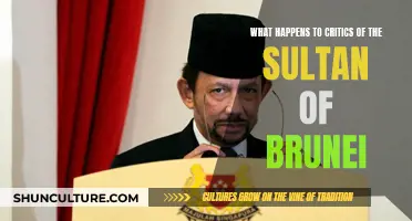 The Sultan's Critics: A Dangerous Game in Brunei