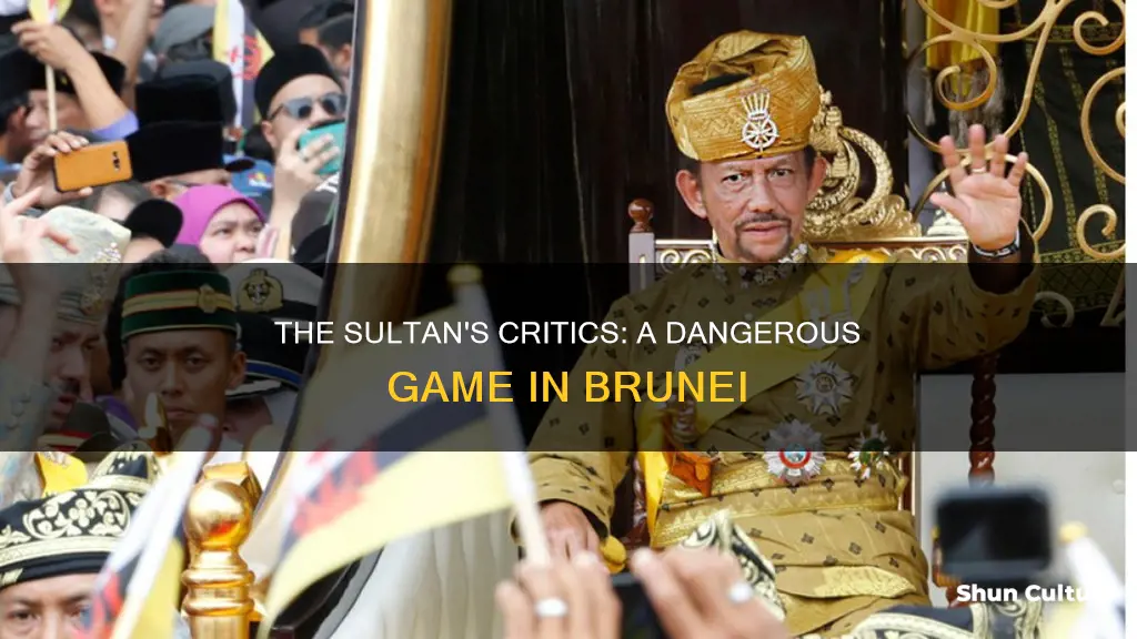 what happens to critics of the sultan of brunei