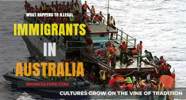 Australia's Approach to Illegal Immigration: Understanding the Process