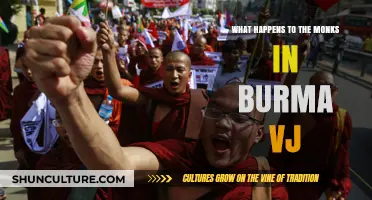 Unraveling the Plight of Burmese Monks: A Journey Through Struggle and Resilience
