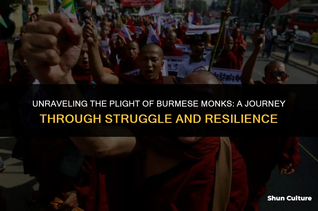 what happens to the monks in burma vj