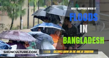 Bangladesh's Flood Crisis: Impacts, Challenges, and Community Resilience Explained