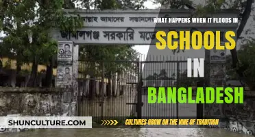 Bangladesh Schools in Floods: Challenges, Impacts, and Community Resilience