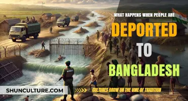 Deported to Bangladesh: Consequences, Challenges, and Real-Life Struggles