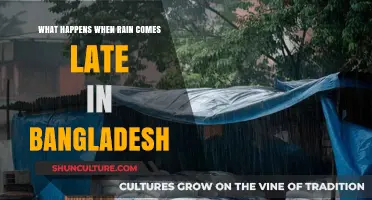 Delayed Monsoon in Bangladesh: Impacts on Agriculture, Economy, and Livelihoods