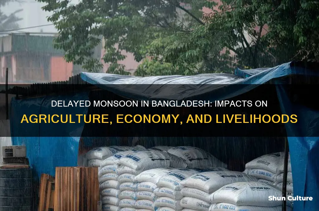 what happens when rain comes late in bangladesh