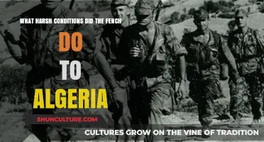France's Brutal Colonization: Algeria's Struggle Under Harsh Oppression